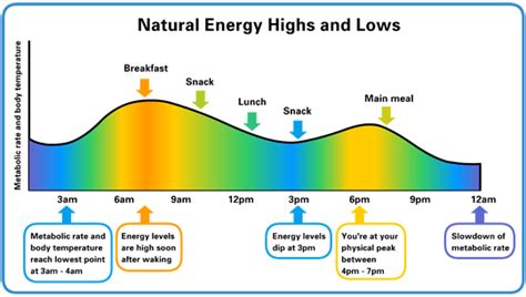 During the day. Humans Energy Level. Energy Level Color. Book Levels of Energy. Energy Levels muon.