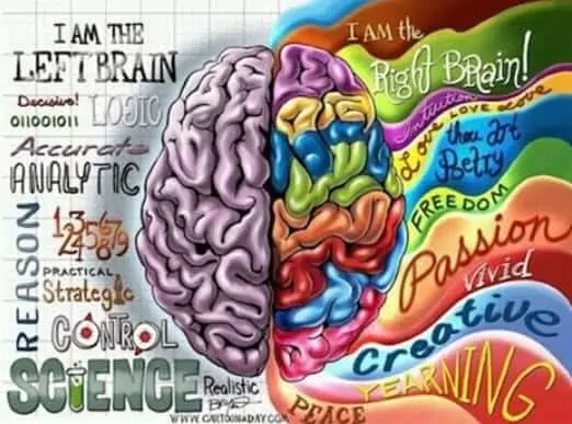 Sync brain hemispheres while studying