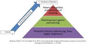 English processing levels